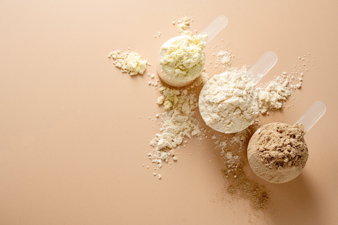 Supplements: Whey, Casein and Plant Protein - Understand the Difference